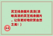 灵芝线条图片高清(清晰高清的灵芝线条图片，让你更好地欣赏自然之美！)