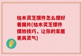 枯木灵芝摆件怎么摆好看图片(枯木灵芝摆件摆放技巧，让你的家居更具灵气)