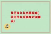 灵芝多久长出菌菇来(灵芝生长周期及时间要求)