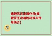 鹿鞭灵芝泡酒作用(鹿鞭灵芝泡酒的功效与作用简介)