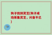 狗子找到灵芝(狗子成功采集灵芝，兴奋不已)