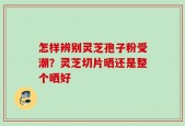 怎样辨别灵芝孢子粉受潮？灵芝切片晒还是整个晒好