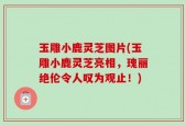 玉雕小鹿灵芝图片(玉雕小鹿灵芝亮相，瑰丽绝伦令人叹为观止！)