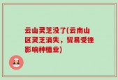 云山灵芝没了(云南山区灵芝消失，贸易受挫影响种植业)