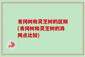 青冈树和灵芝树的区别(青冈树和灵芝树的异同点比较)