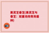 黑灵芝香芝(黑灵芝与香芝：双重功效奇异菌种)