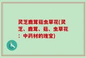 灵芝鹿茸菇虫草花(灵芝、鹿茸、菇、虫草花：中药材的瑰宝)