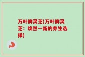 万叶鲜灵芝(万叶鲜灵芝：焕然一新的养生选择)