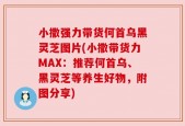 小撒强力带货何首乌黑灵芝图片(小撒带货力MAX：推荐何首乌、黑灵芝等养生好物，附图分享)