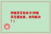 种植灵芝有虫子(种植灵芝遭虫害，如何解决？)