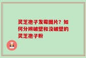 灵芝孢子发霉图片？如何分辨破壁和没破壁的灵芝孢子粉