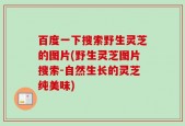 百度一下搜索野生灵芝的图片(野生灵芝图片搜索-自然生长的灵芝纯美味)