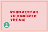 家庭种植灵芝怎么收孢子粉(家庭收获灵芝孢子粉的方法)