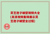 灵芝孢子破壁视频大全(高清视频集锦展示灵芝孢子破壁全过程)