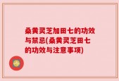 桑黄灵芝加田七的功效与禁忌(桑黄灵芝田七的功效与注意事项)