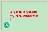 灵芝越发(灵芝更具功效，神奇药材再掀热潮)