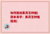 如何栽培黑灵芝种植(简单易学：黑灵芝种植指南)