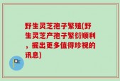 野生灵芝孢子繁殖(野生灵芝产孢子繁衍顺利，掘出更多值得珍视的讯息)