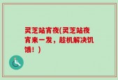 灵芝站宵夜(灵芝站夜宵来一发，趁机解决饥饿！)