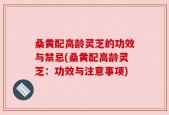 桑黄配高龄灵芝的功效与禁忌(桑黄配高龄灵芝：功效与注意事项)
