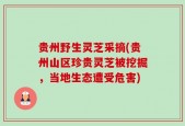 贵州野生灵芝采摘(贵州山区珍贵灵芝被挖掘，当地生态遭受危害)