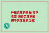 种植灵芝的歌曲(种下希望 闻香灵芝家园：探寻灵芝生长之美)