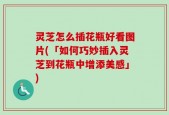 灵芝怎么插花瓶好看图片(「如何巧妙插入灵芝到花瓶中增添美感」)