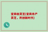 宜宾收灵芝(宜宾市产灵芝，开创新时代)