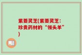 紫菱灵芝(紫菱灵芝：珍贵药材的“领头羊”)