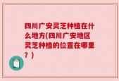 四川广安灵芝种植在什么地方(四川广安地区灵芝种植的位置在哪里？)