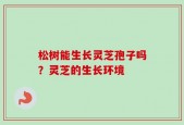 松树能生长灵芝孢子吗？灵芝的生长环境