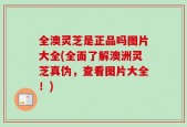 全澳灵芝是正品吗图片大全(全面了解澳洲灵芝真伪，查看图片大全！)