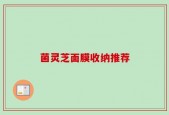 菌灵芝面膜收纳推荐