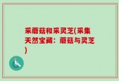 采蘑菇和采灵芝(采集天然宝藏：蘑菇与灵芝)