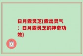 日月露灵芝(露出灵气：日月露灵芝的神奇功效)