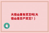 大悟山里有灵芝吗(大悟山是否产灵芝？)