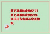 灵芝葛根陈皮枸杞子(灵芝葛根陈皮枸杞汤：中药药方走进寻常百姓家)