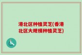 港北区种植灵芝(香港北区大规模种植灵芝)