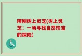 辨别树上灵芝(树上灵芝：一场寻找自然珍宝的探险)