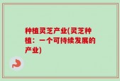 种植灵芝产业(灵芝种植：一个可持续发展的产业)