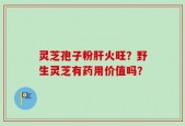 灵芝孢子粉肝火旺？野生灵芝有药用价值吗？