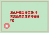 怎么种植出好灵芝(培育高品质灵芝的种植技巧)