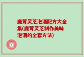 鹿茸灵芝泡酒配方大全集(鹿茸灵芝制作美味泡酒的全套方法)