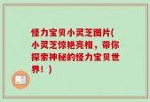 怪力宝贝小灵芝图片(小灵芝惊艳亮相，带你探索神秘的怪力宝贝世界！)