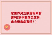 家里养灵芝散落粉末有害吗(家中散落灵芝粉末会带来危害吗？)