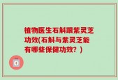 植物医生石斛跟紫灵芝功效(石斛与紫灵芝能有哪些保健功效？)