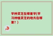 学种灵芝在哪里学(学习种植灵芝的地方在哪里？)