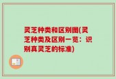 灵芝种类和区别图(灵芝种类及区别一览：识别真灵芝的标准)