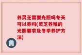 养灵芝需要光照吗冬天可以养吗(灵芝养殖的光照要求及冬季养护方法)