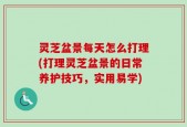 灵芝盆景每天怎么打理(打理灵芝盆景的日常养护技巧，实用易学)